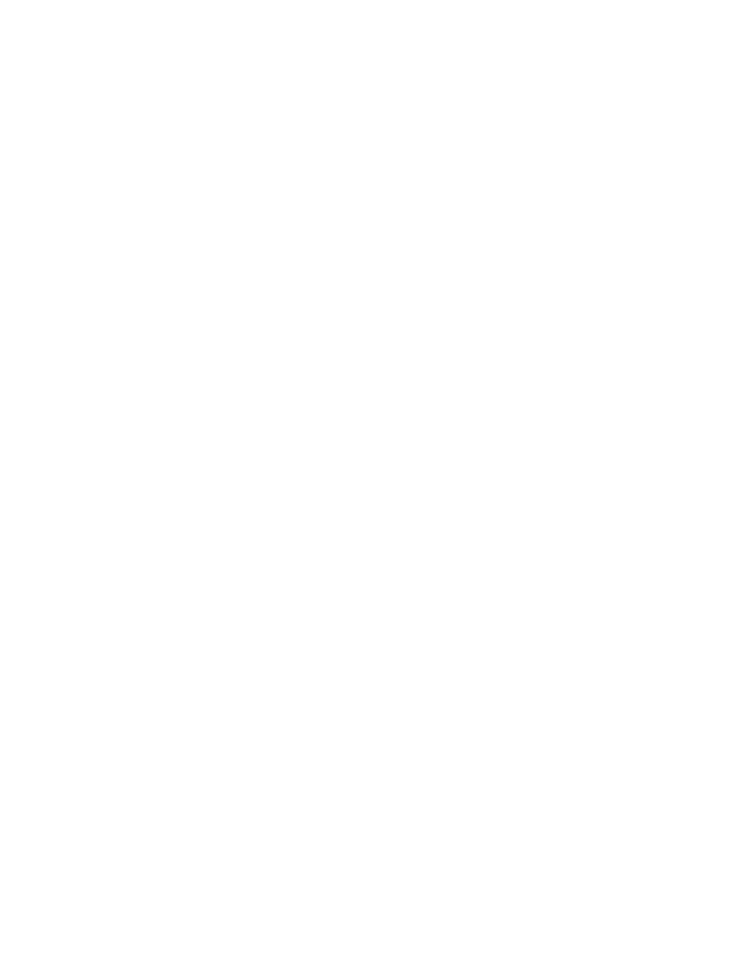 ELEMENTO GRAFICO-12